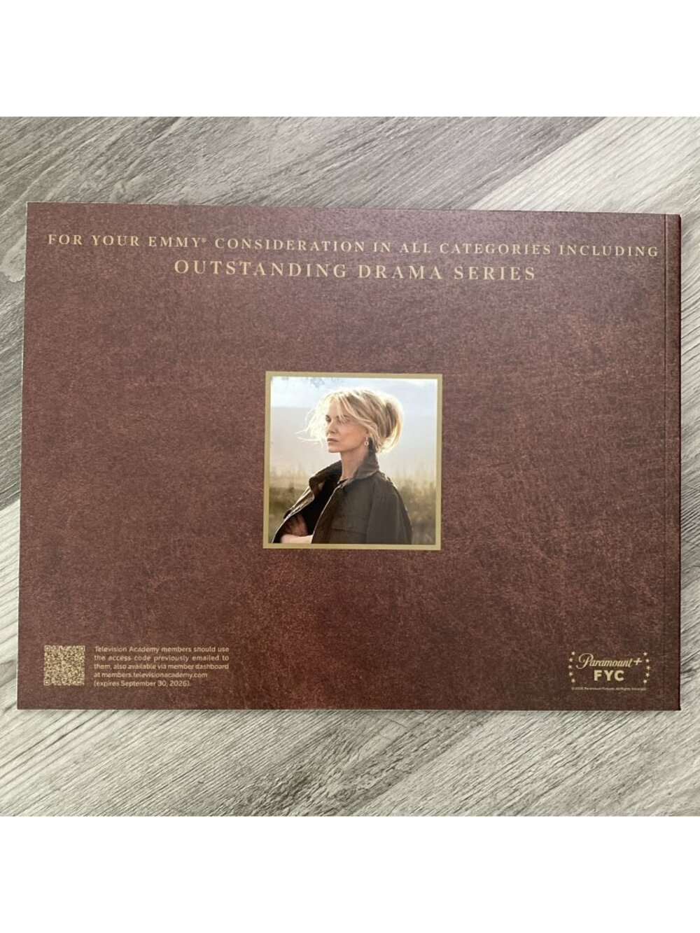 "The Madison" Booklet Paramount Plus Emmy Promo For Your Consideration FYC PR